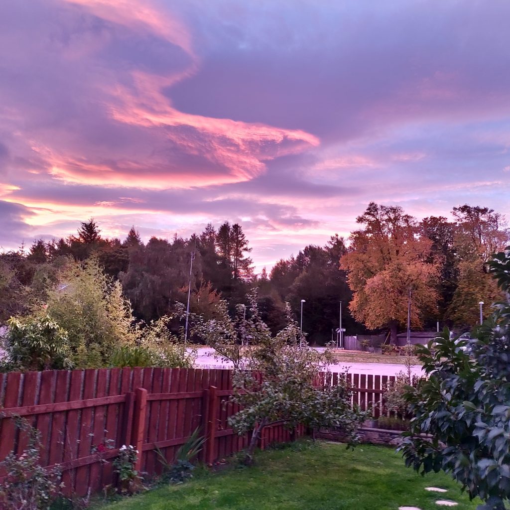 A back garden, looking over onto a Village Hall carpark, a house, and woods beyond. There are striking clouds in the sky, and a pinkish light filters everywhere.