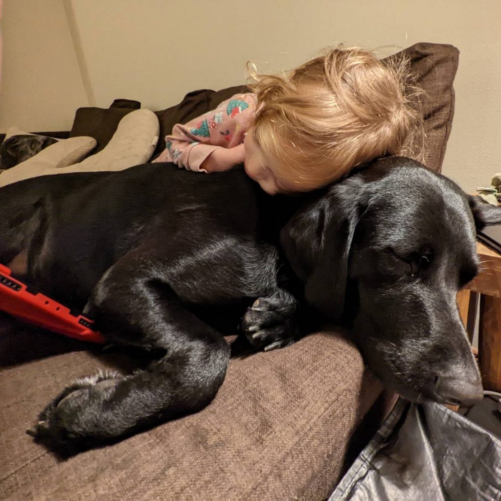 A pre-schooler curls up with a black dog while the dog sleeps. The pre-schooler is half-sprawled on top of her.